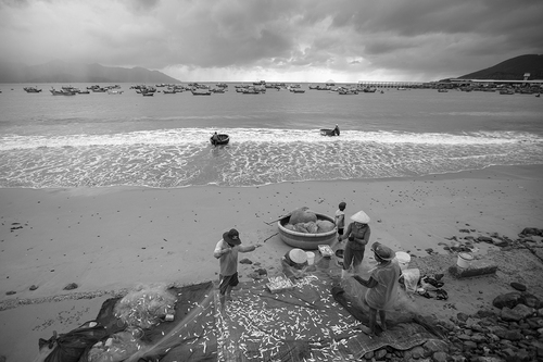 Nhiếp ảnh gia Nguyễn An Di - Landscape IMG_0682_