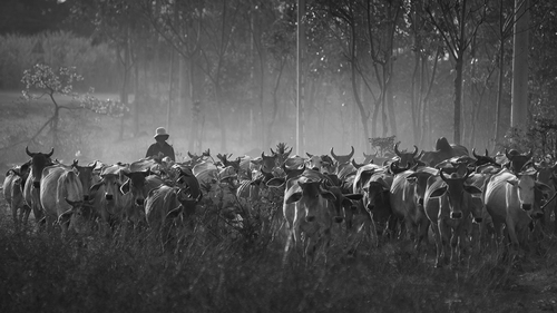 Nhiếp ảnh gia Nguyễn An Di - Landscape NAD_6954_